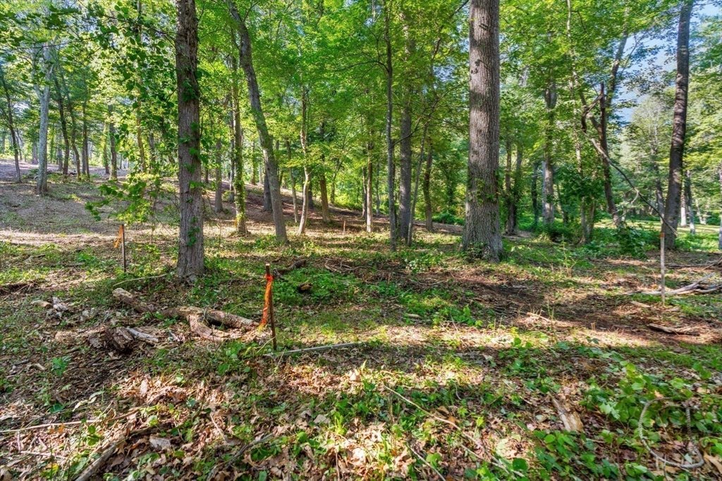 45 Pineswamp Road Ipswich, MA 01938 - Photo 22 of 29