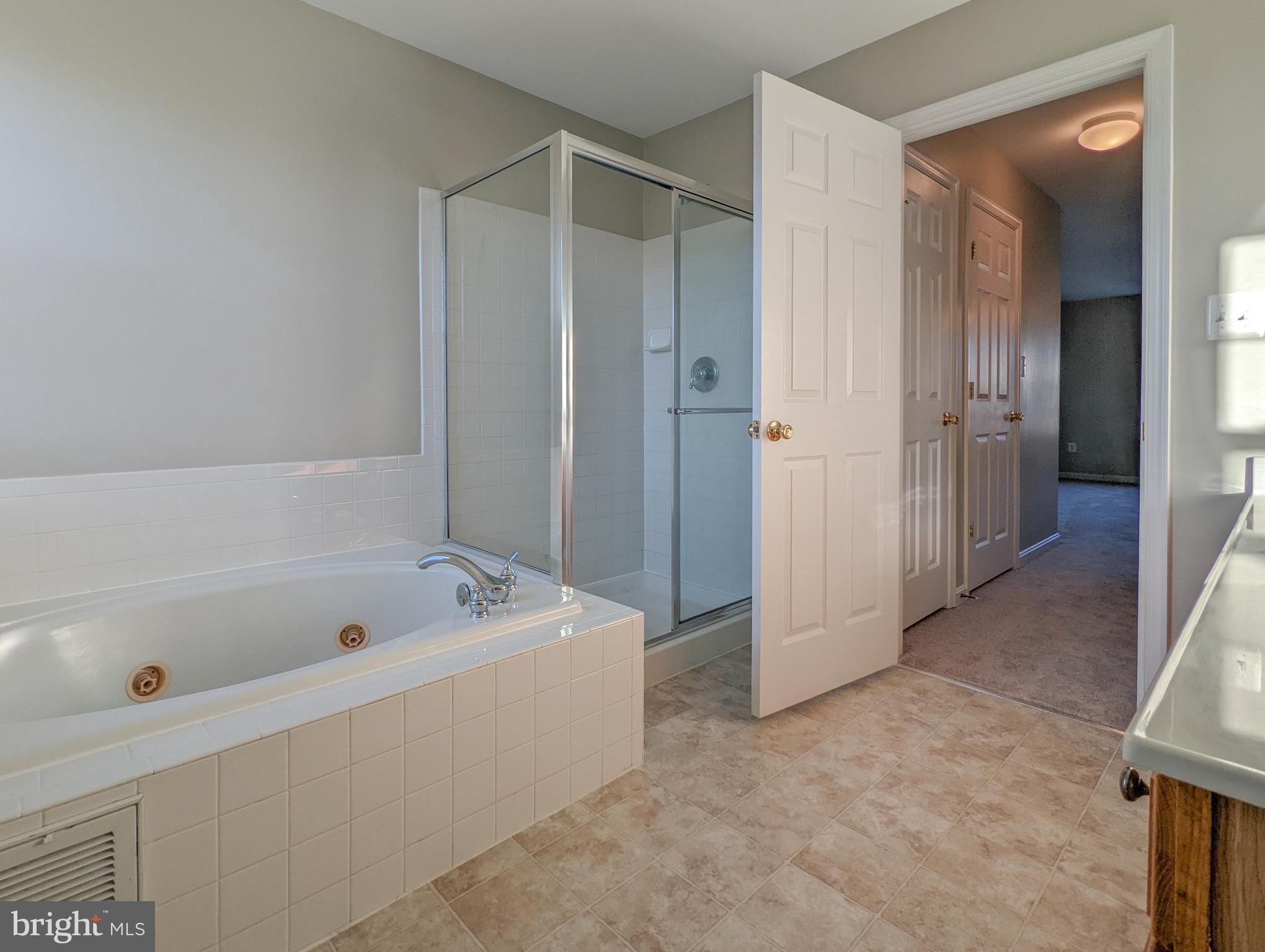 702 Holly Leaf Road Culpeper, VA 22701 - Photo 22 of 33 Master Bathroom