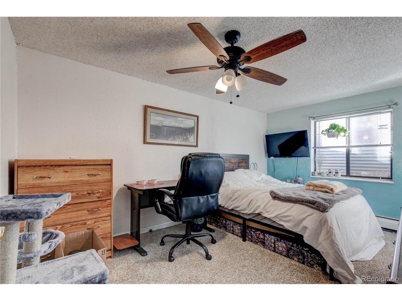 8367 South Reed Street, Unit 2 Littleton, CO 80128 - Photo 16 of 24 Gallery Image 16