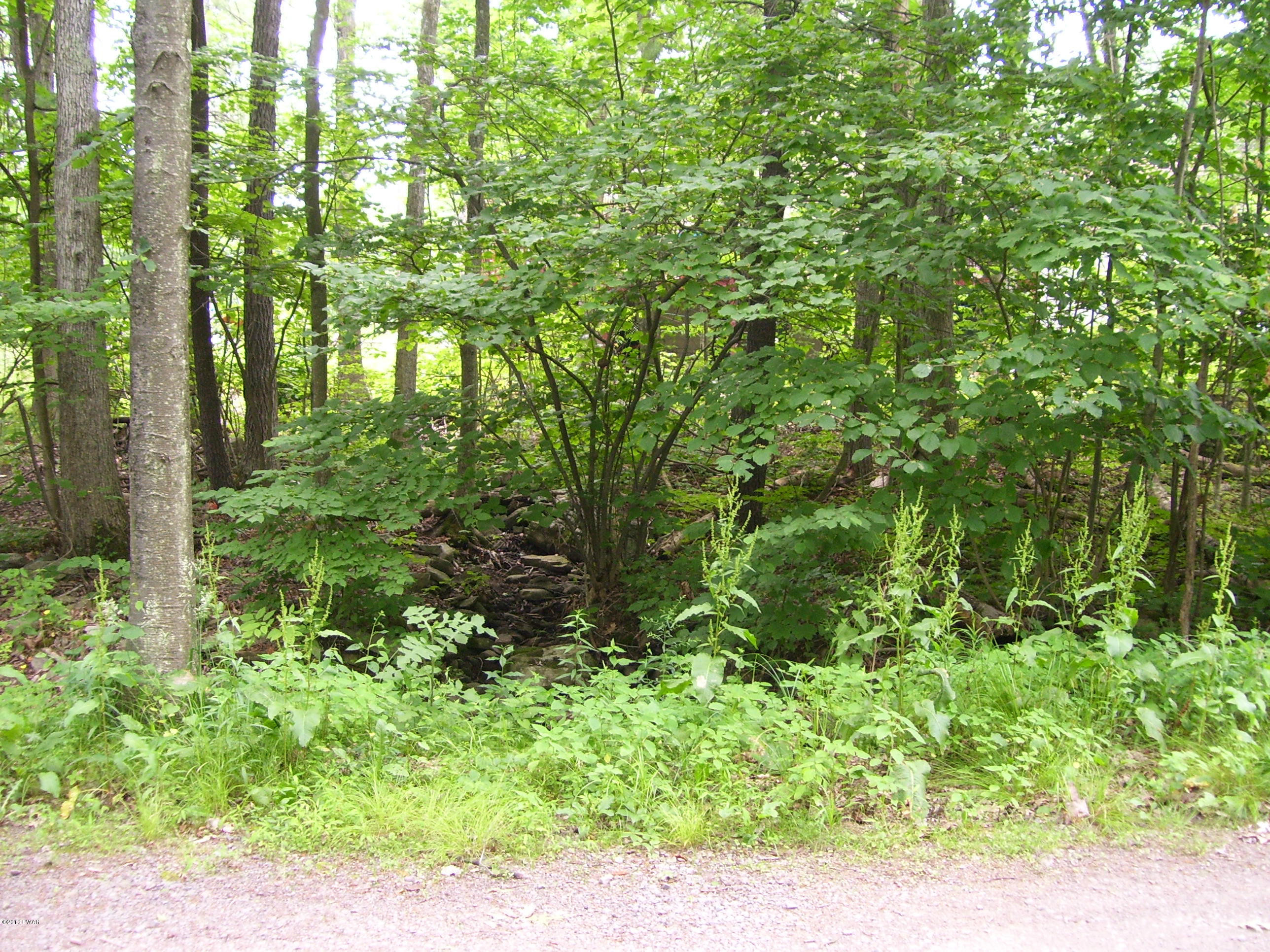 24 Pine Beach Road Lakeville, PA 18438 - Photo 67 of 74