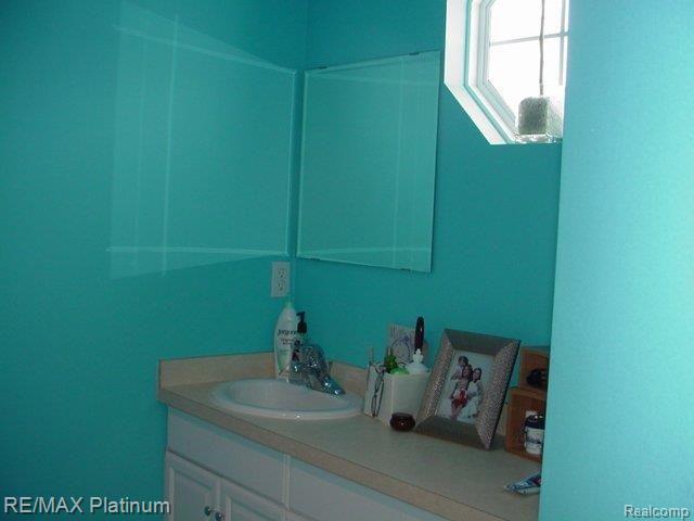 4151 East Clyde Road Howell, MI 48855 - Photo 19 of 24 Double Sink Master Bath