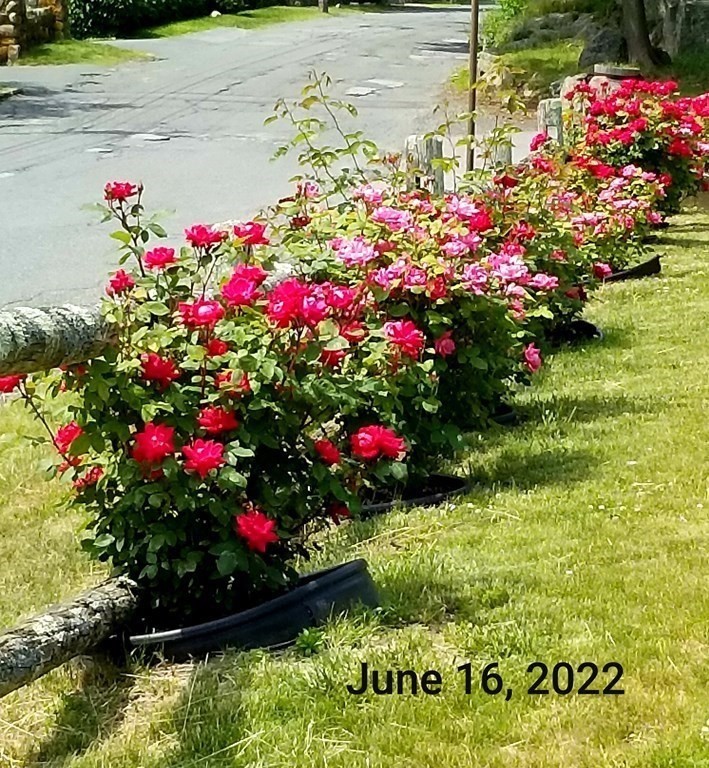 15 Beach Road Gloucester, MA 01930 - Photo 33 of 35