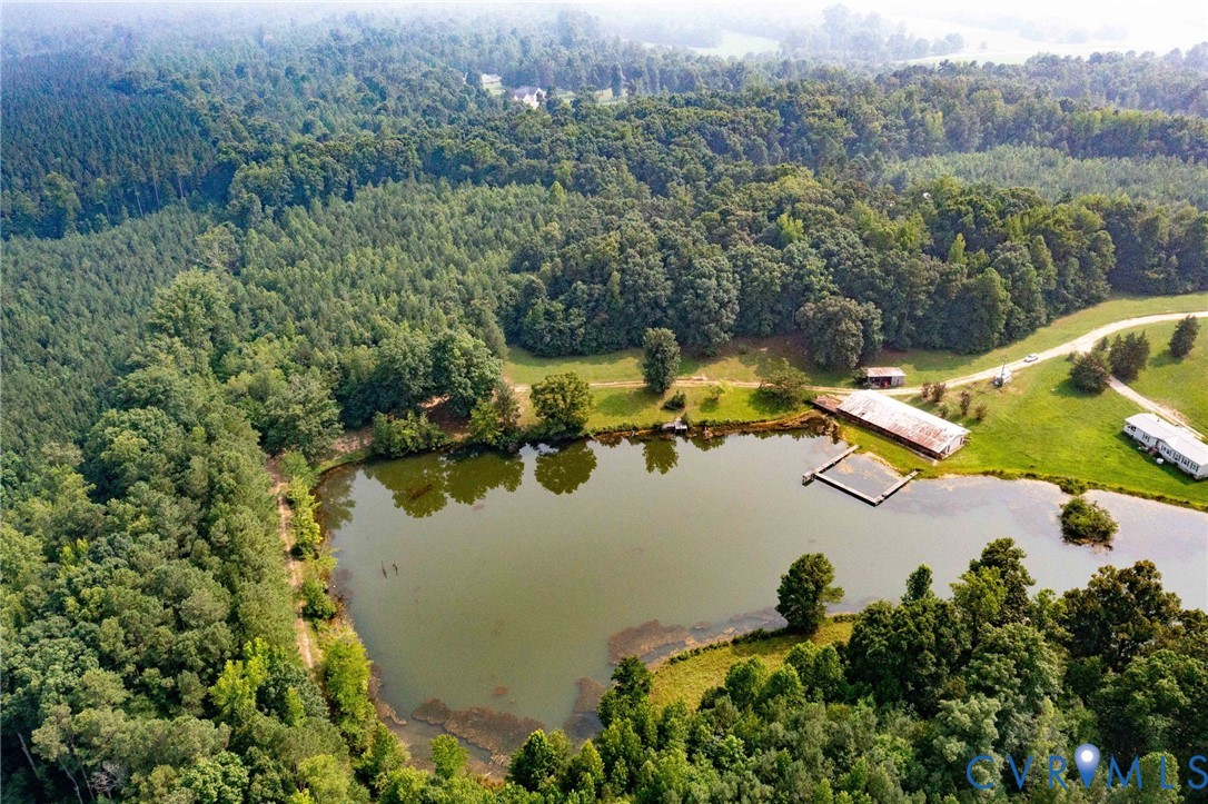 13127 Continental Road Ford, VA 23850 - Photo 7 of 17 Expansive wooded acreage featuring a large pond wi
