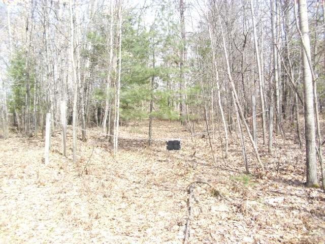 On Thunder Bay Road Tomahawk, WI 54487 - Photo 10 of 19 Gallery Image 10