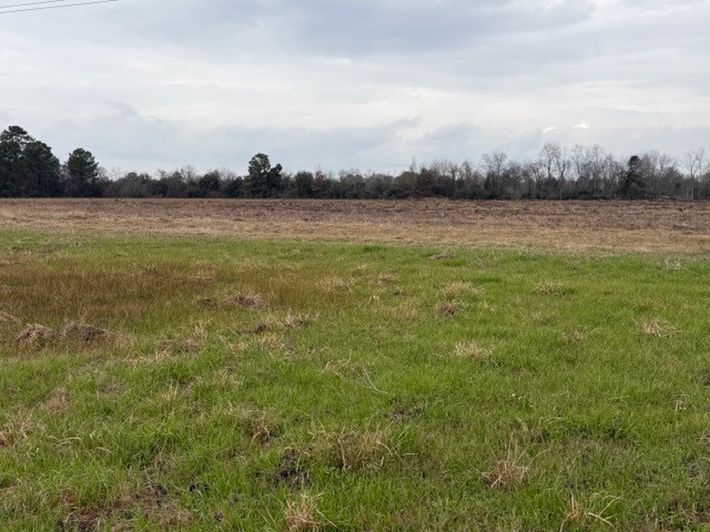 509 Krenek Road Crosby, TX 77532 - Photo 7 of 17