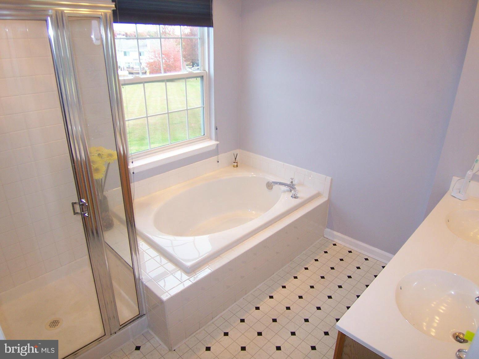 529 Constant Ridge Court Abingdon, MD 21009 - Photo 21 of 33 Bath (Master)