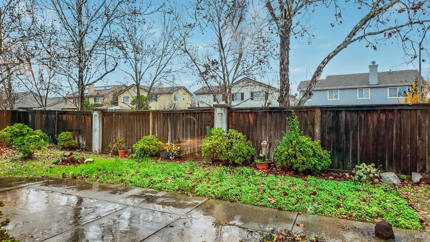 4124 Singletree Way Fairfield, CA 94533 - Photo 42 of 43 a view of garden with plants