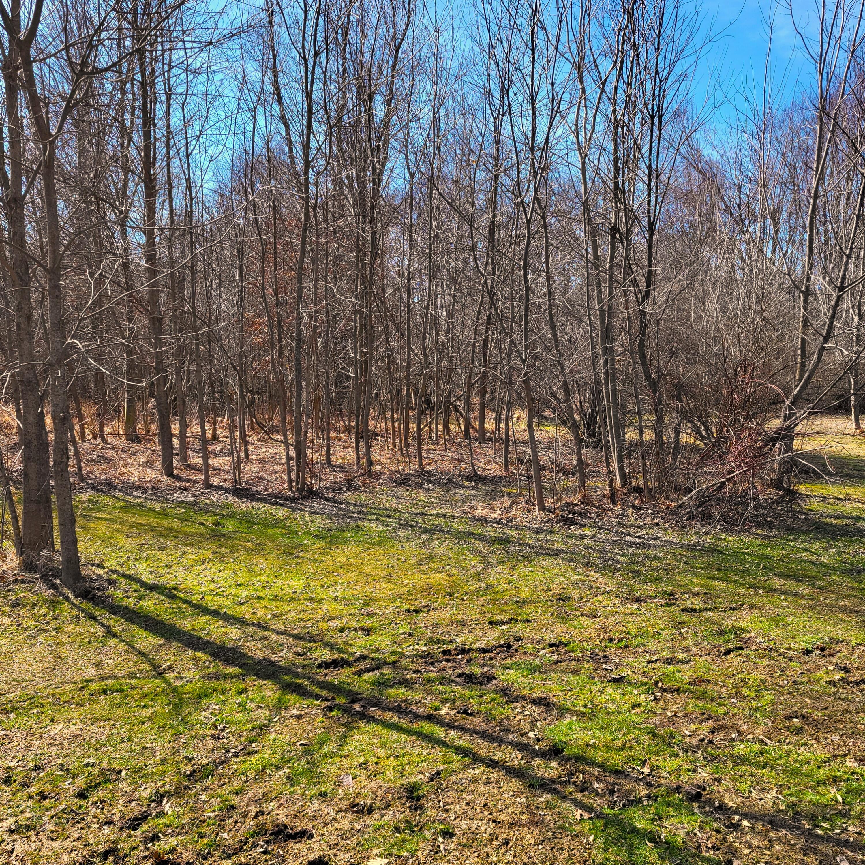 1 Hoder Road New Buffalo, MI 49117 - Photo 4 of 8 hoder 3