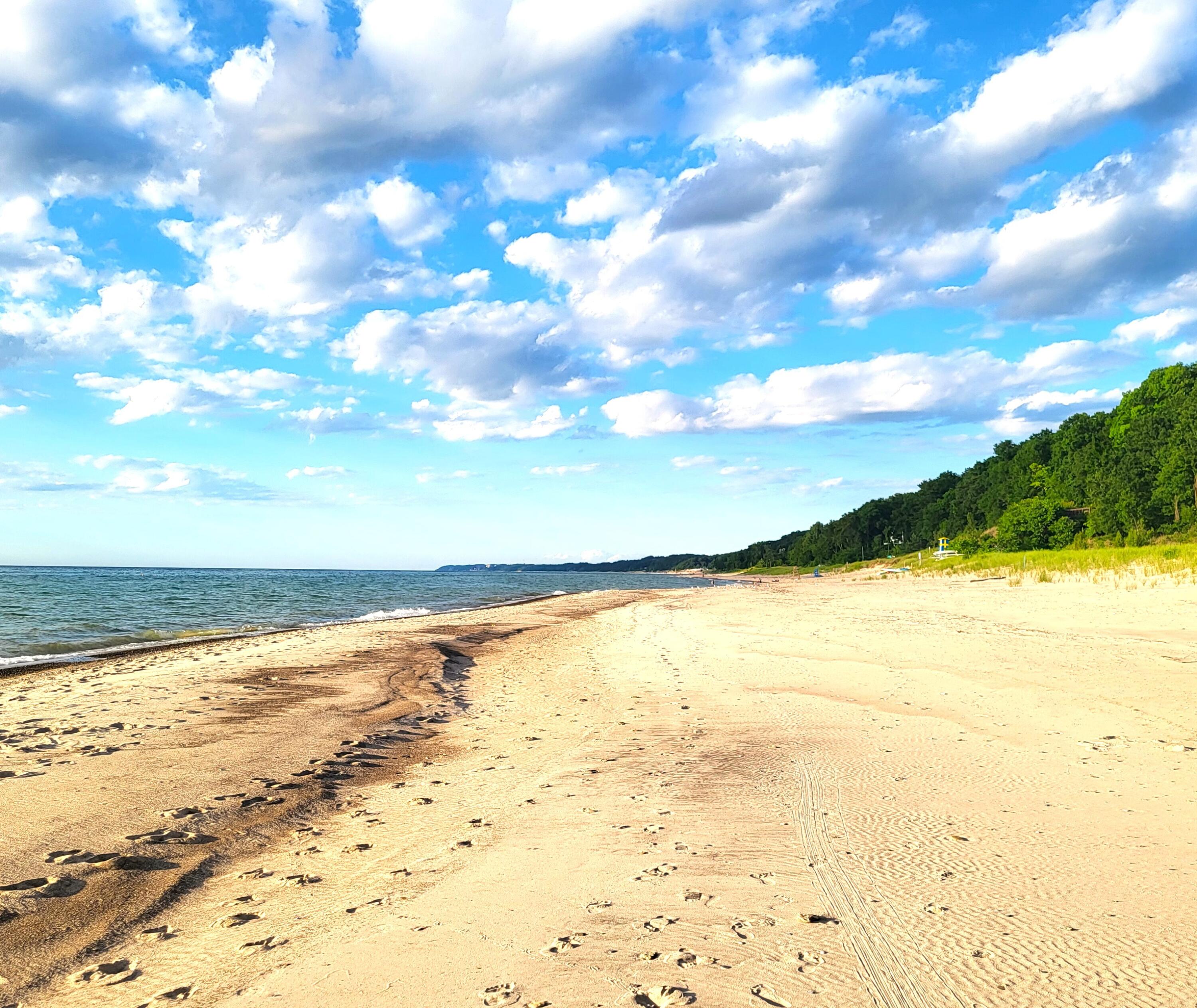 1 Hoder Road New Buffalo, MI 49117 - Photo 6 of 8 Shoreline N