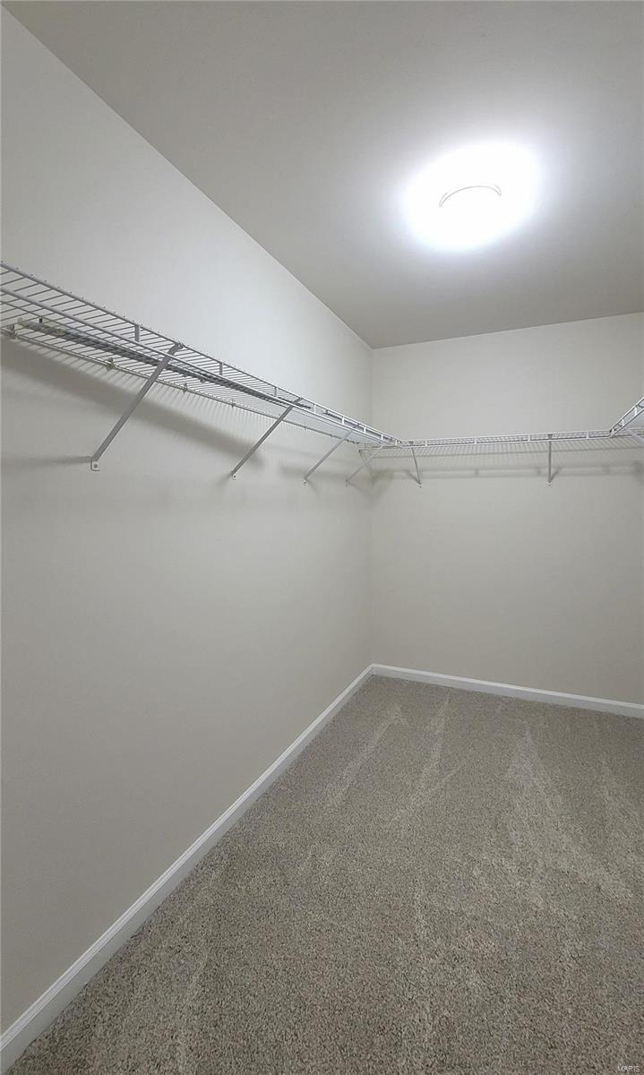 377 Remington Way Drive Ballwin, MO 63021 - Photo 29 of 46