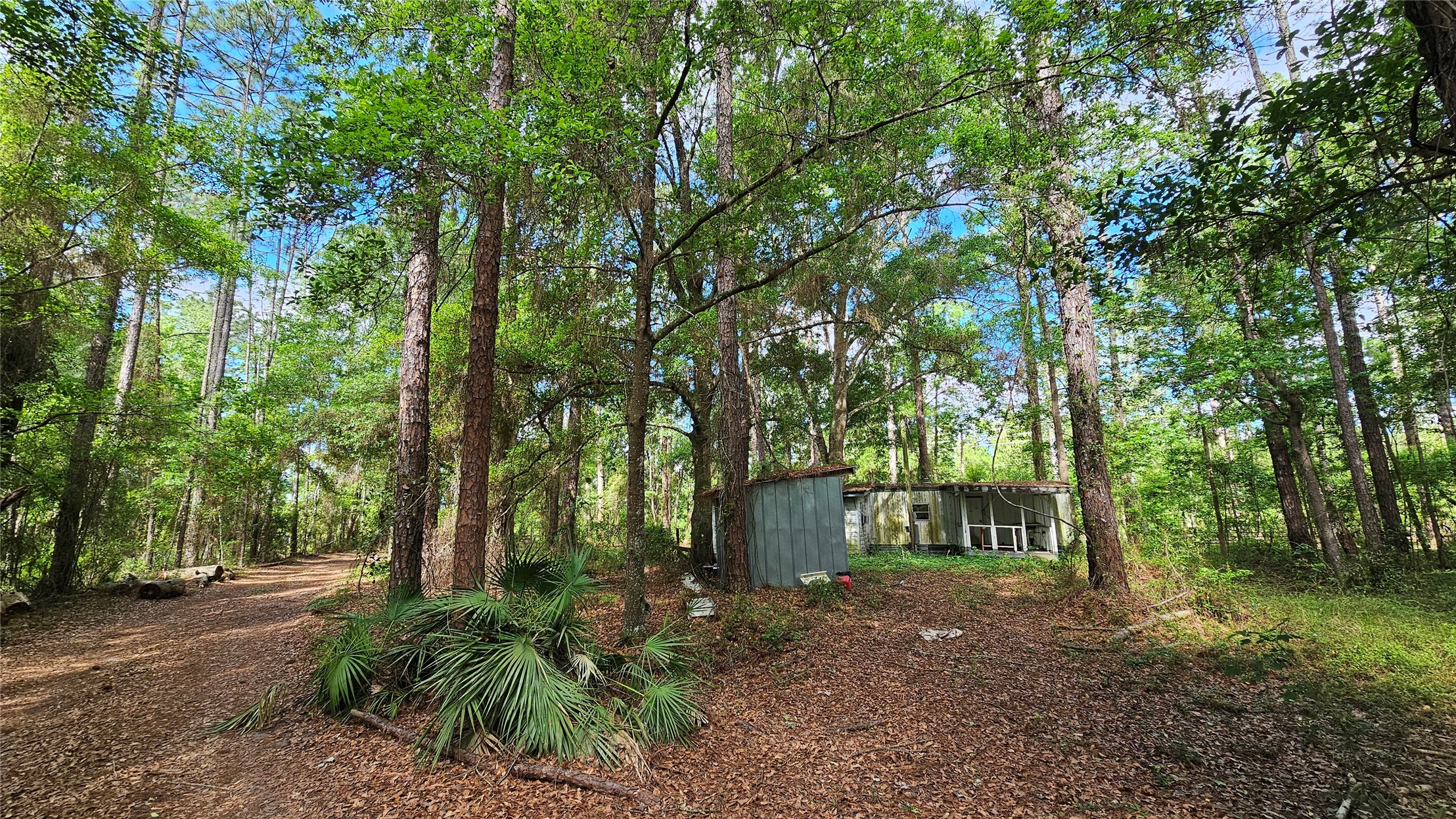 6324 Lannie Road Jacksonville, FL 32218 - Photo 18 of 60