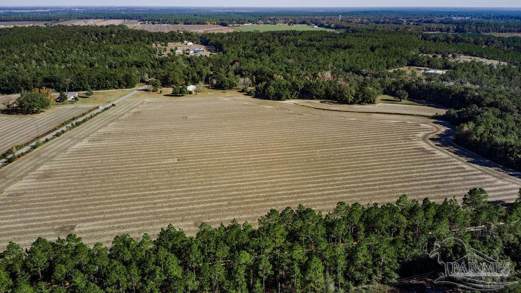 10 Segrest Road Pace, FL 32571 - Photo 4 of 4 a view of a backyard