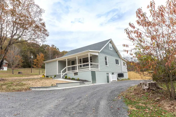 a view of a yard with a large tree
