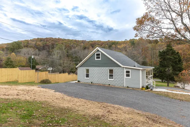 a road view with large trees