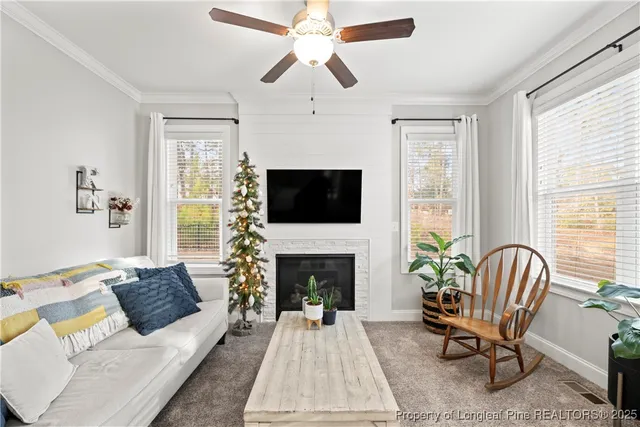a living room with furniture a flat screen tv and a fireplace