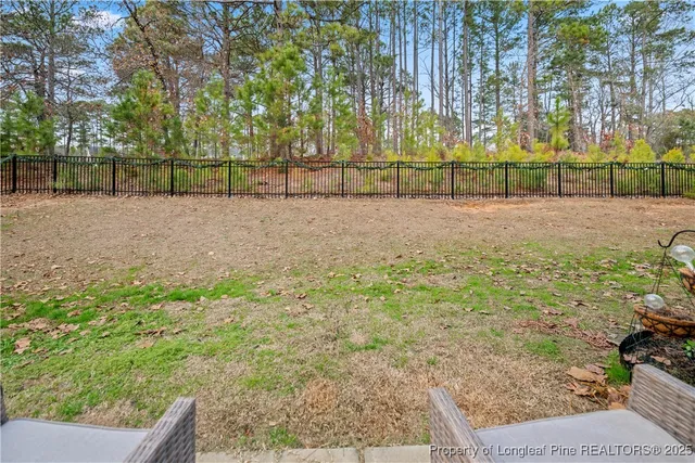 a view of backyard with green space