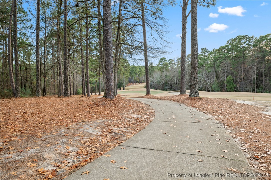 46 Brookhill Court Spring Lake, NC 28390 - Photo 49 of 50 a pathway of a house with a yard
