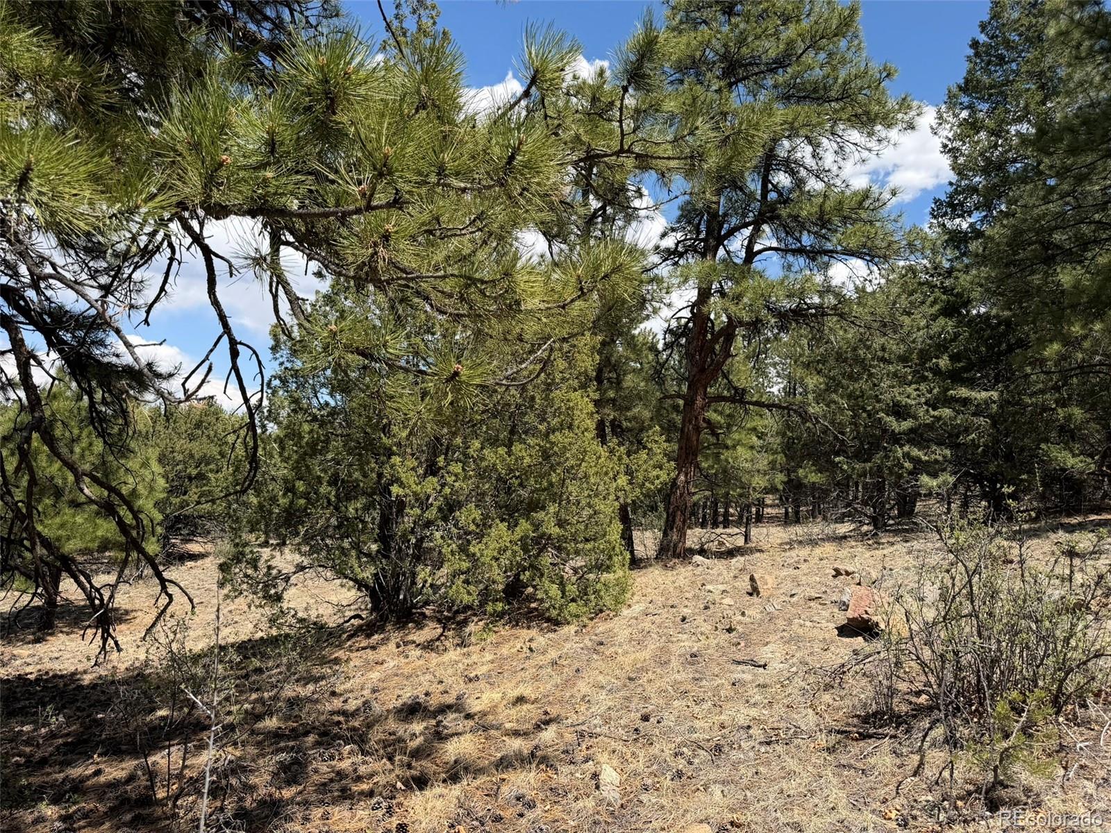 477 Bear Peak Road Westcliffe, CO 81252 - Photo 7 of 39