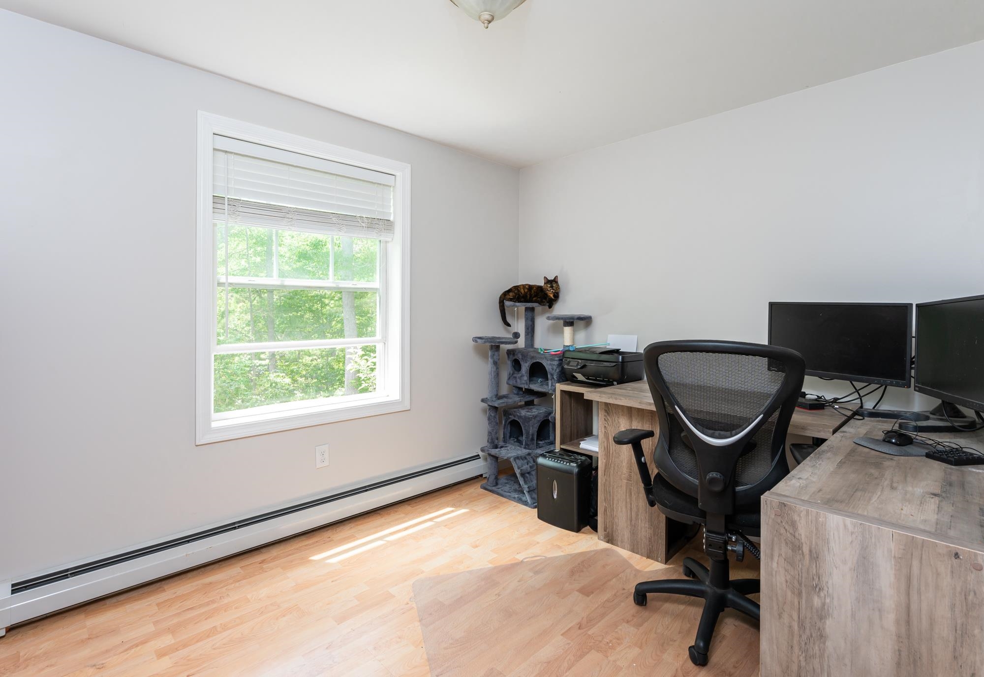 60 Clement Road Allenstown, NH 03275 - Photo 20 of 34