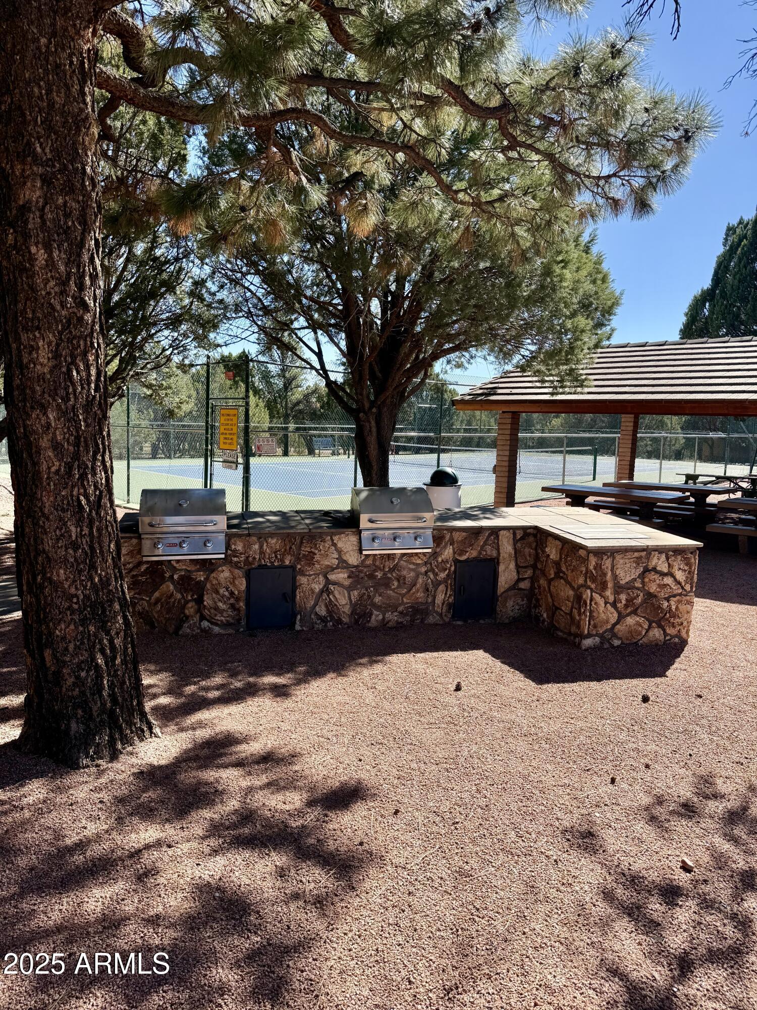 2761 Apollo Circle Overgaard, AZ 85933 - Photo 46 of 52
