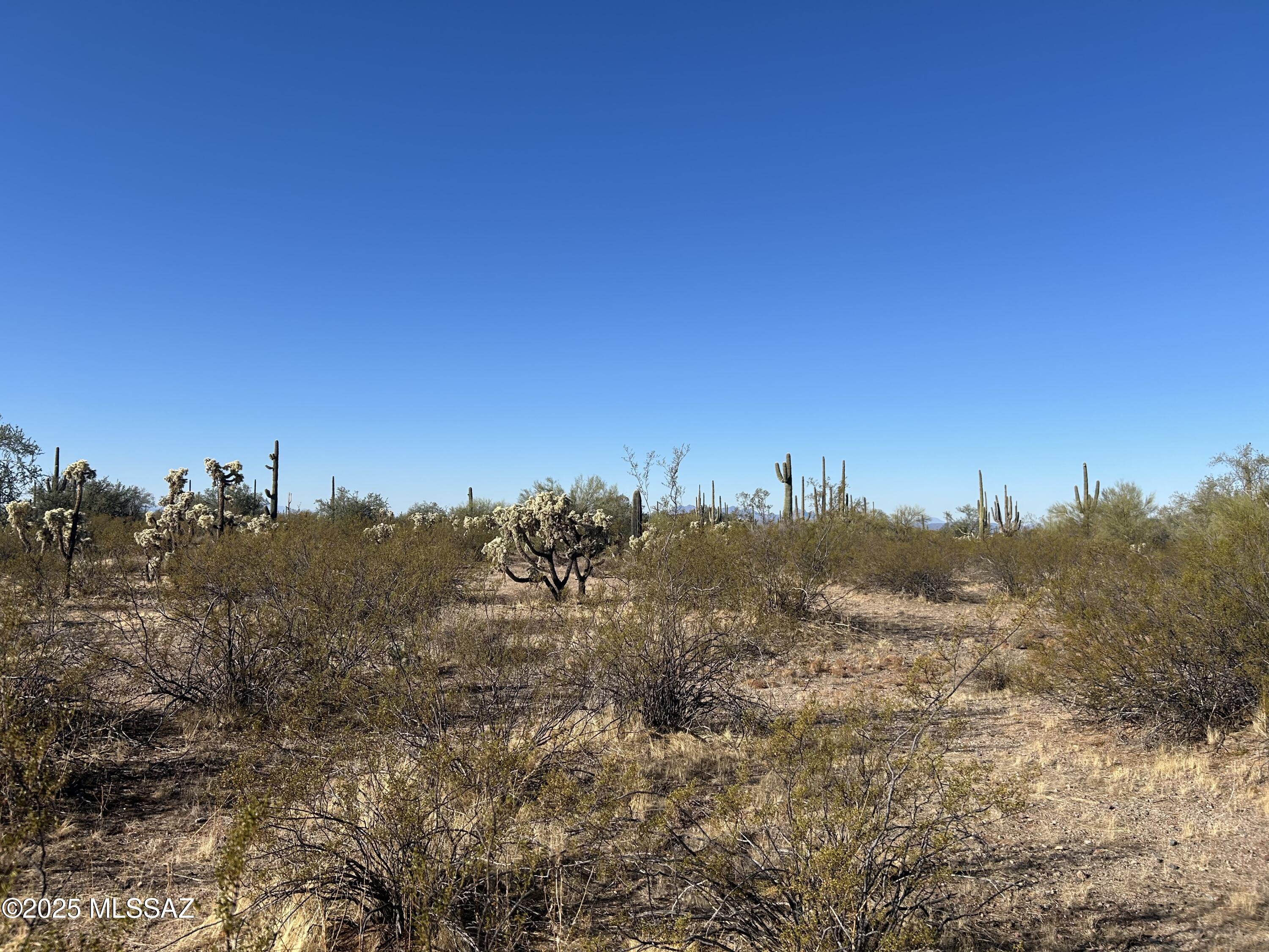 X South Cattle Tank Road Marana, AZ 85658 - Photo 4 of 8