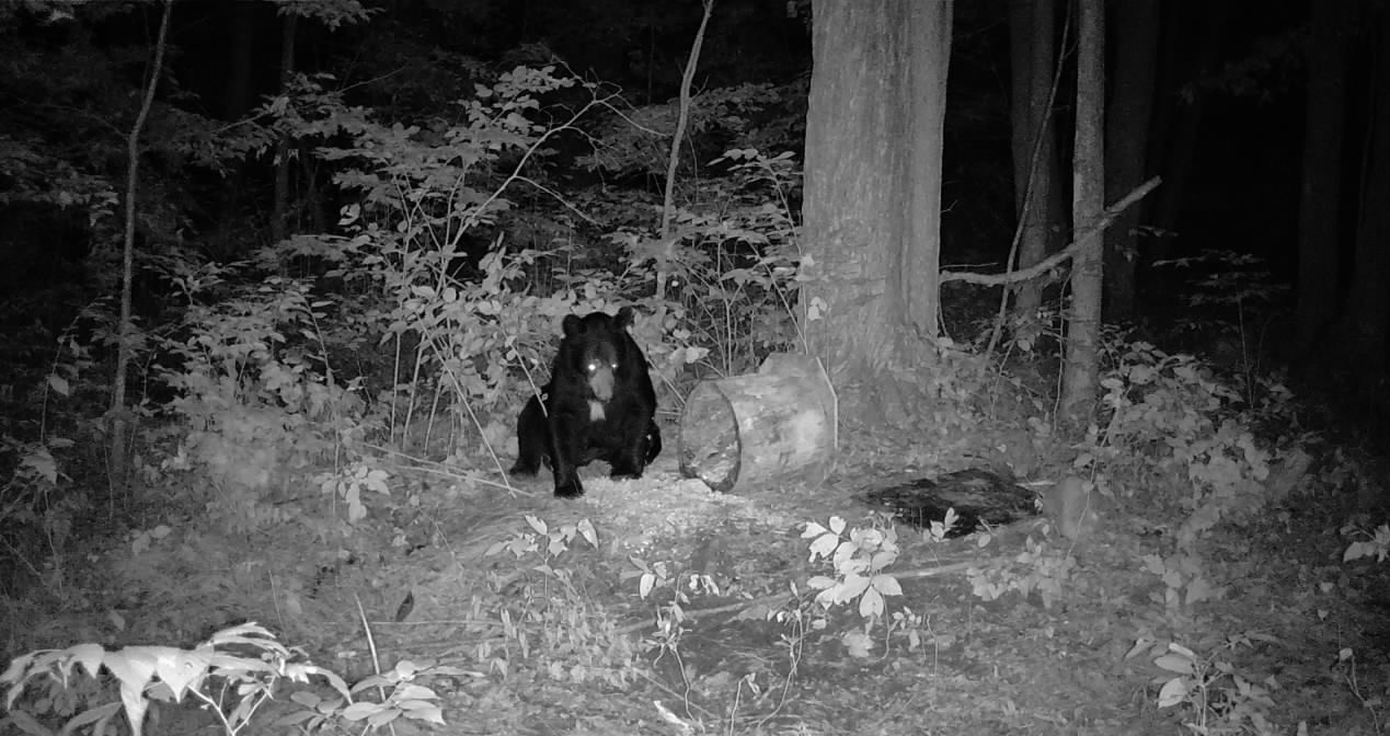 Ooo Snowshoe Road Wausau, WI 54403 - Photo 15 of 48