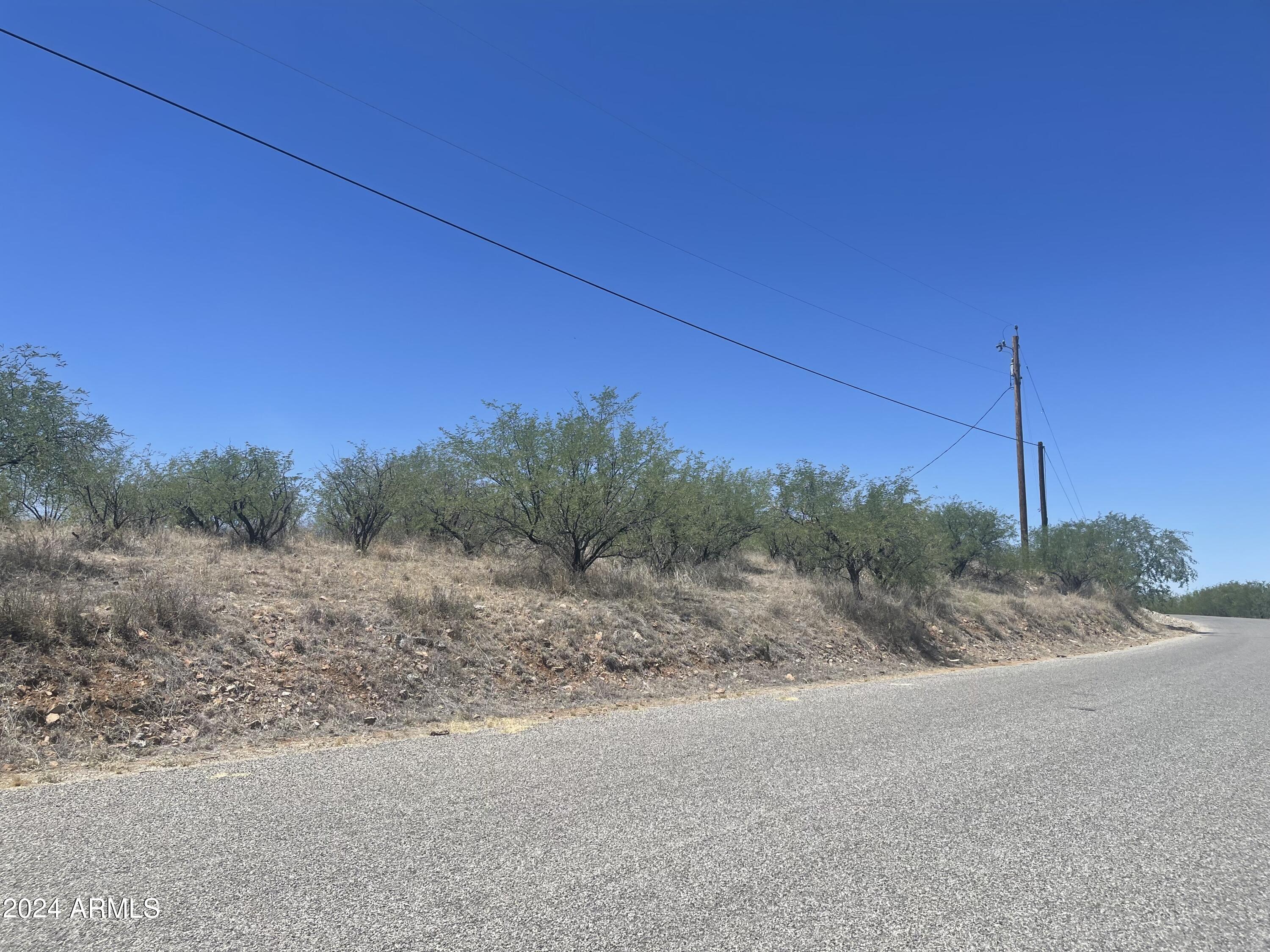 179 Avenida Ostion, Unit 55 Rio Rico, AZ 85648 - Photo 4 of 10 lot view