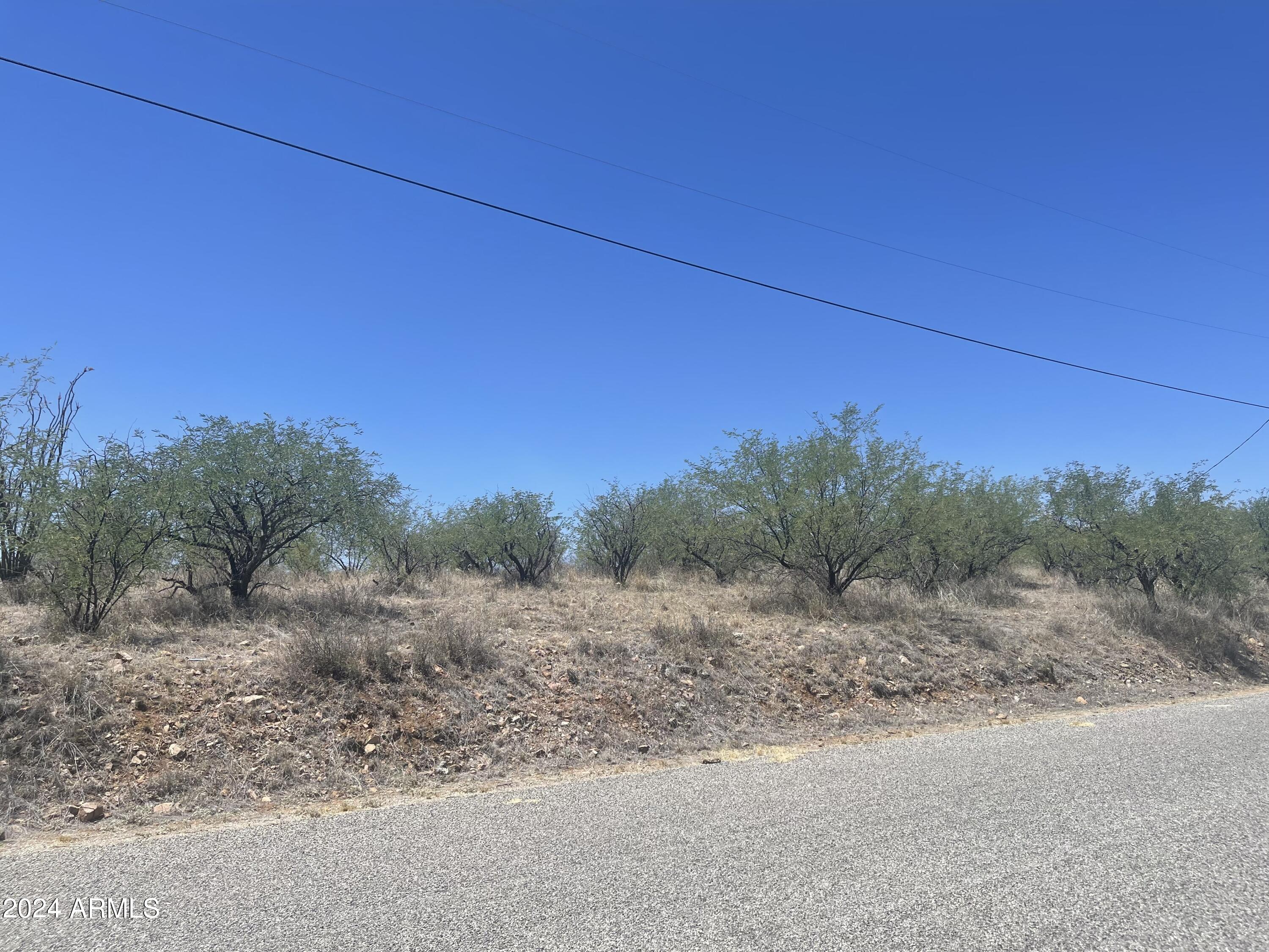 179 Avenida Ostion, Unit 55 Rio Rico, AZ 85648 - Photo 5 of 10 lot view