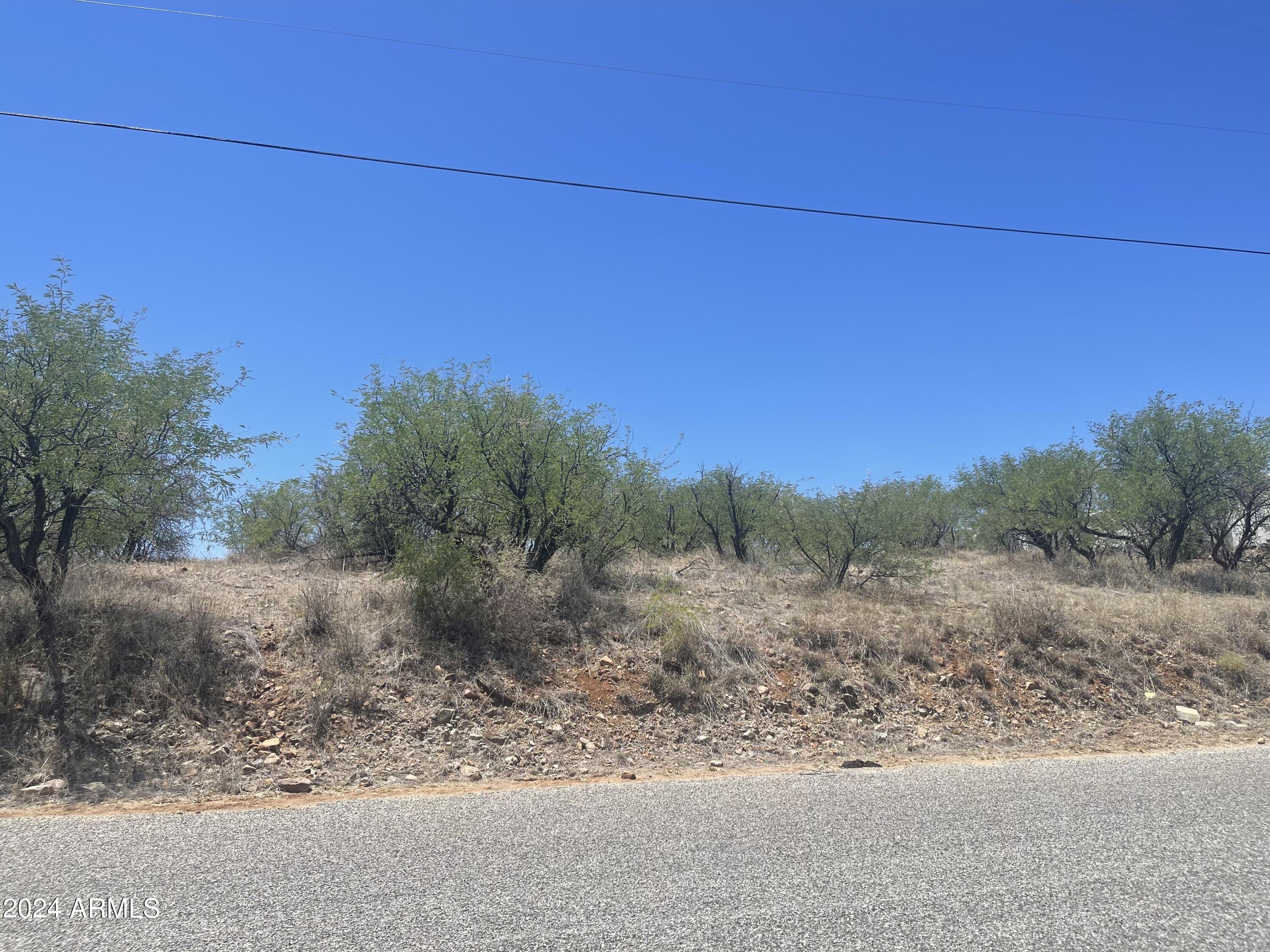 179 Avenida Ostion, Unit 55 Rio Rico, AZ 85648 - Photo 6 of 10 lot view