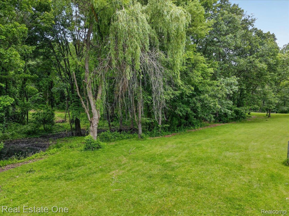 425 Courtney Road Leonard, MI 48367 - Photo 89 of 89 Expansive green lawn bordered by mature trees and natural wooded areas