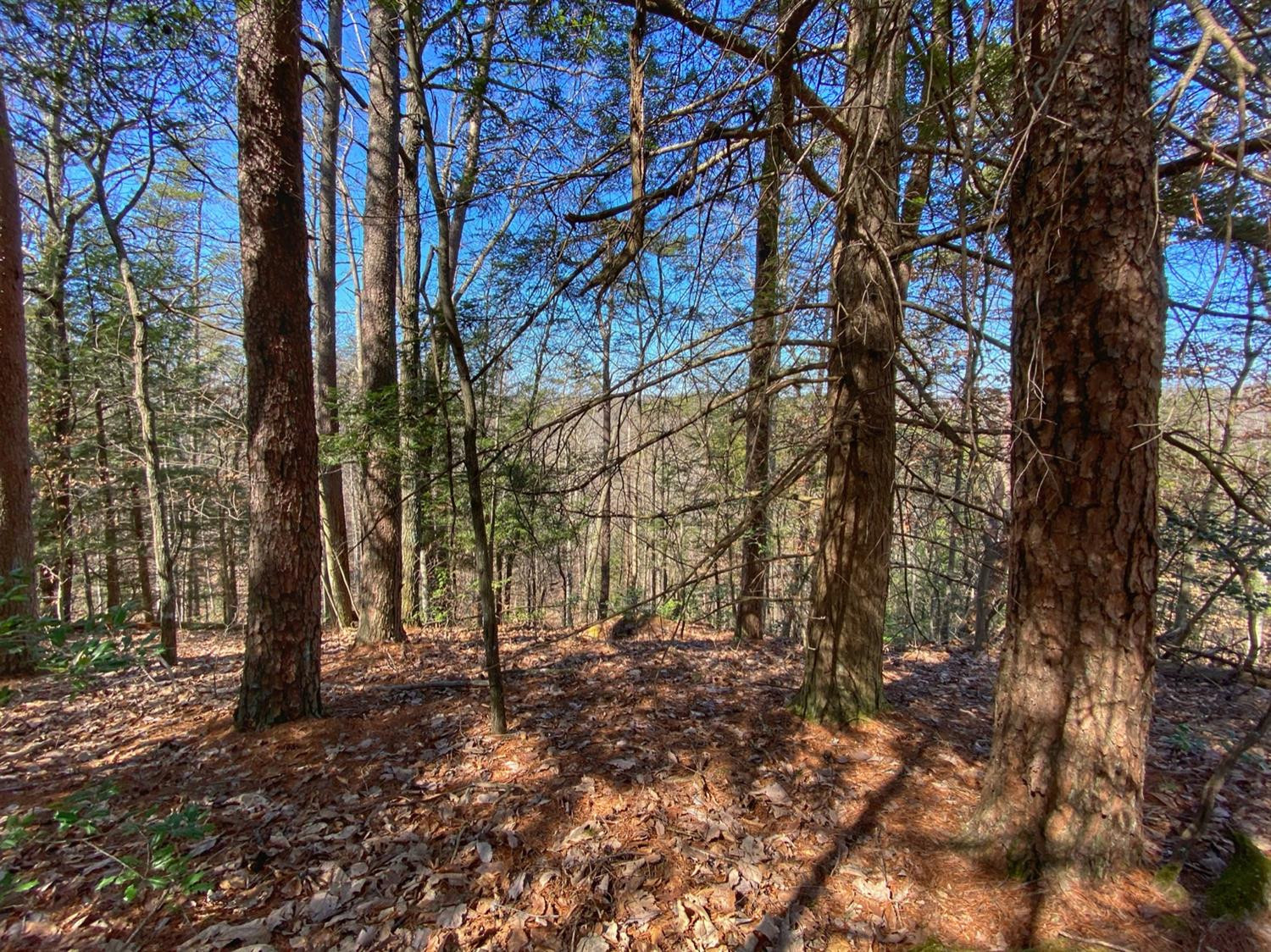 1 Sandy Ridge Road Campton, KY 41301 - Photo 28 of 33 Photo 28