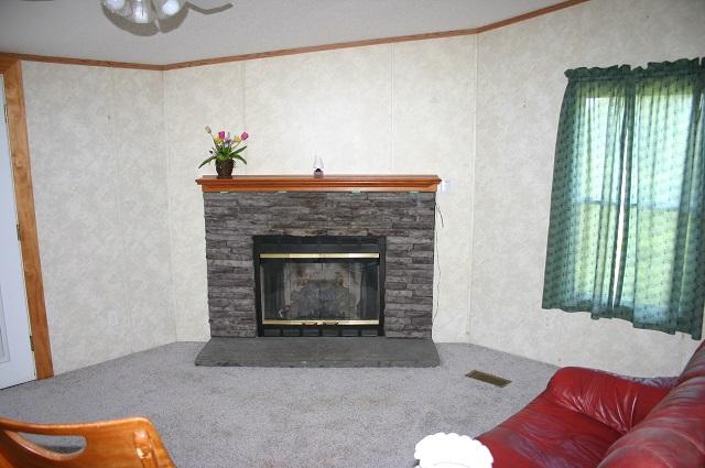 1108 Rule Hollow Road Sevierville, TN 37876 - Photo 14 of 36 family room FP