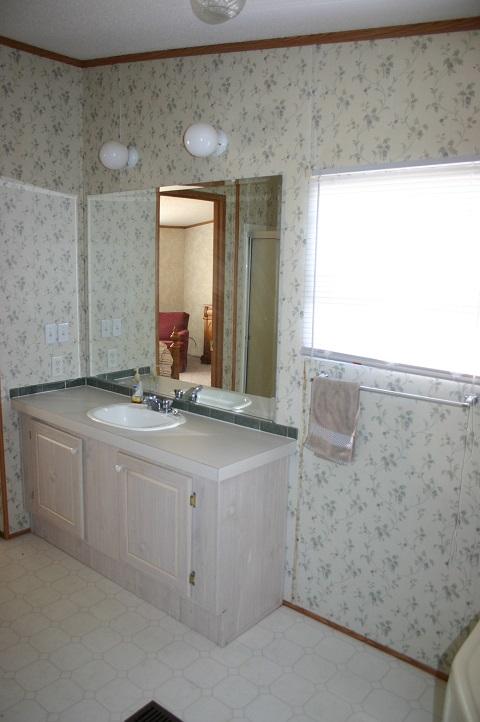1108 Rule Hollow Road Sevierville, TN 37876 - Photo 28 of 36 master bath