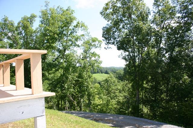 1108 Rule Hollow Road Sevierville, TN 37876 - Photo 8 of 36 your view
