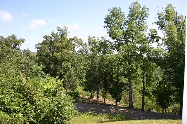 1108 Rule Hollow Road Sevierville, TN 37876 - Photo 9 of 36 view 6