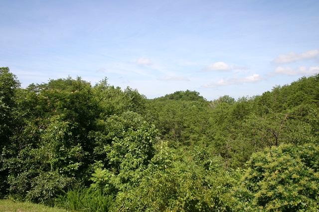 1108 Rule Hollow Road Sevierville, TN 37876 - Photo 10 of 36 view4