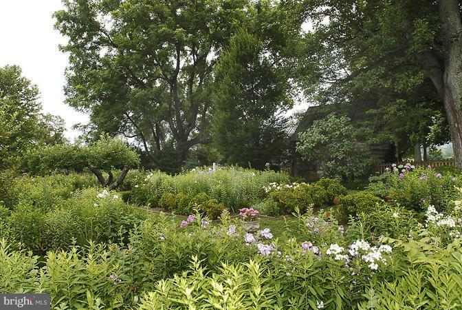 9525 Maidstone Road Delaplane, VA 20144 - Photo 20 of 30 Exterior (Rear)