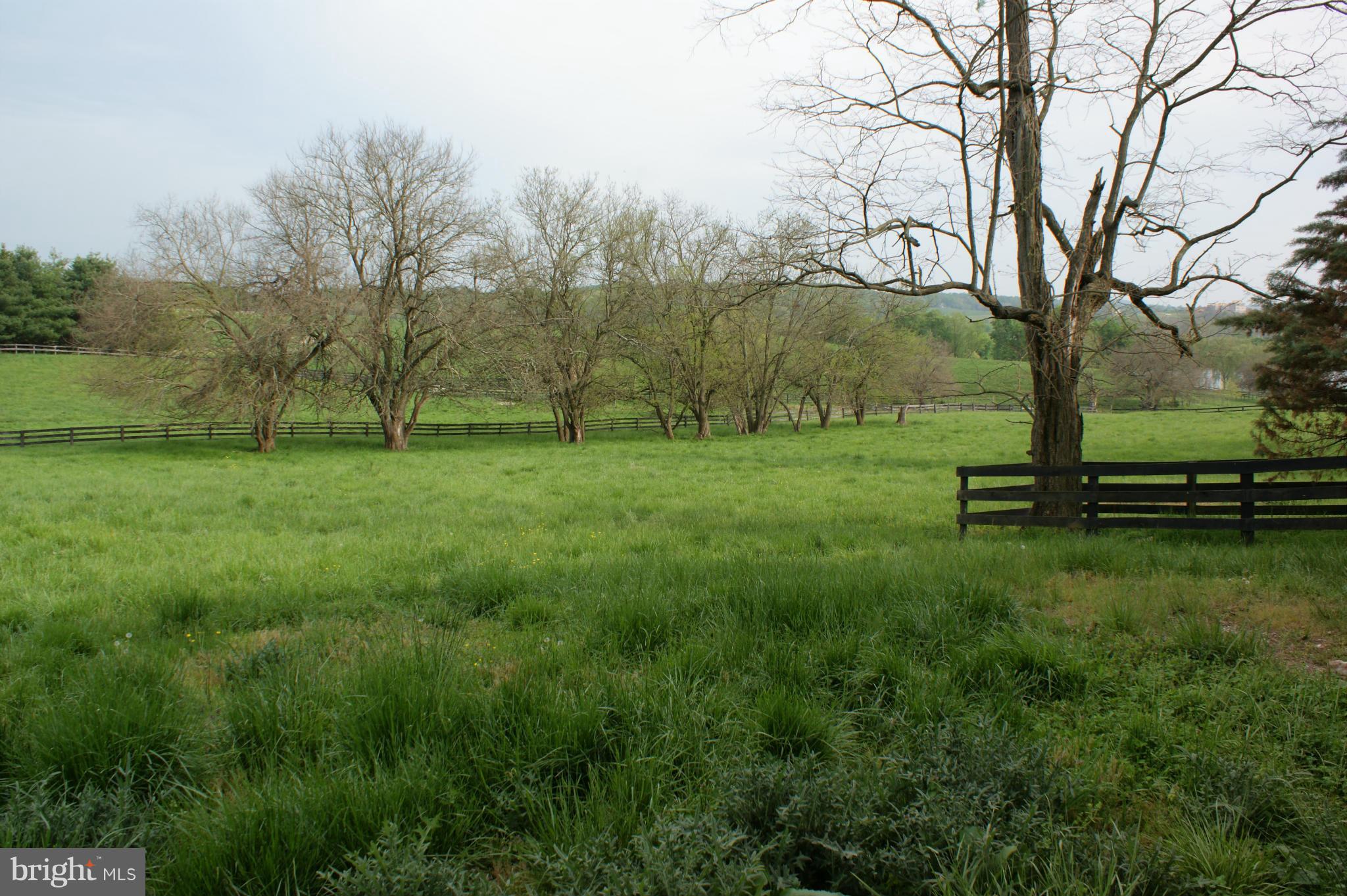 9525 Maidstone Road Delaplane, VA 20144 - Photo 25 of 30 Exterior (General)