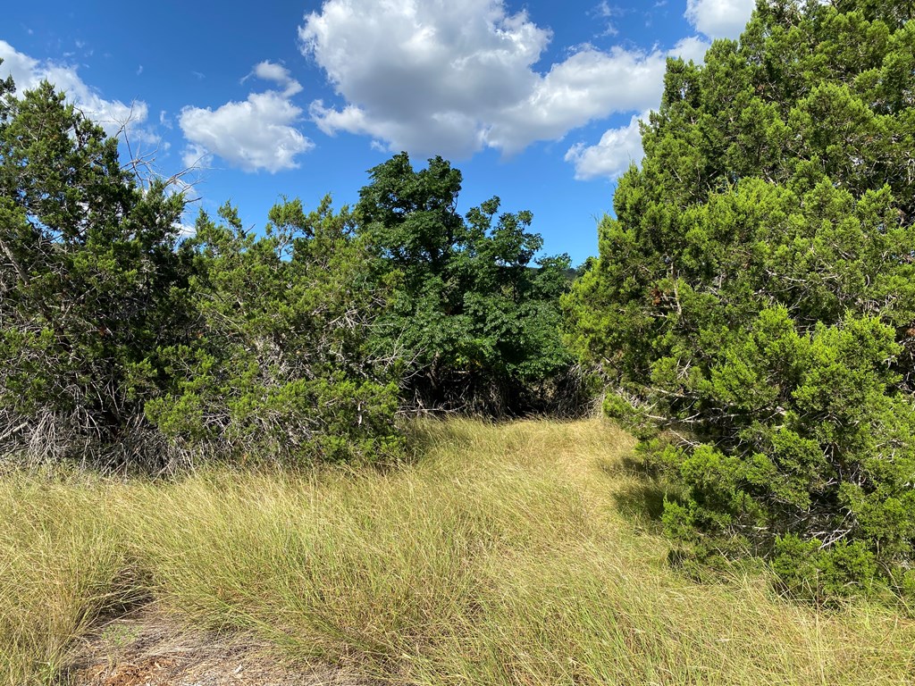 0 Old Rocksprings Road Leakey, TX 78873 - Photo 5 of 18