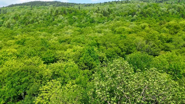 $94,500 | 0 North Road, Eden, VT 05653