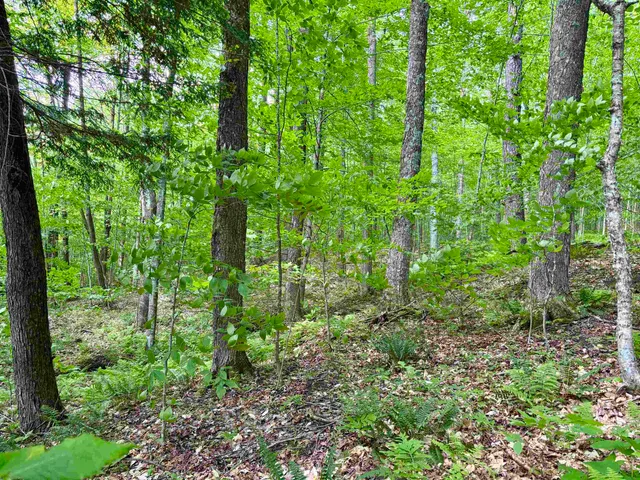 $94,500 | 0 North Road, Eden, VT 05653