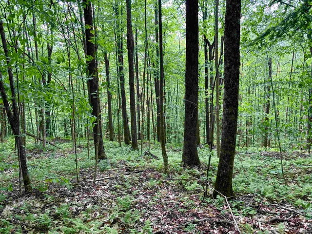 $94,500 | 0 North Road, Eden, VT 05653