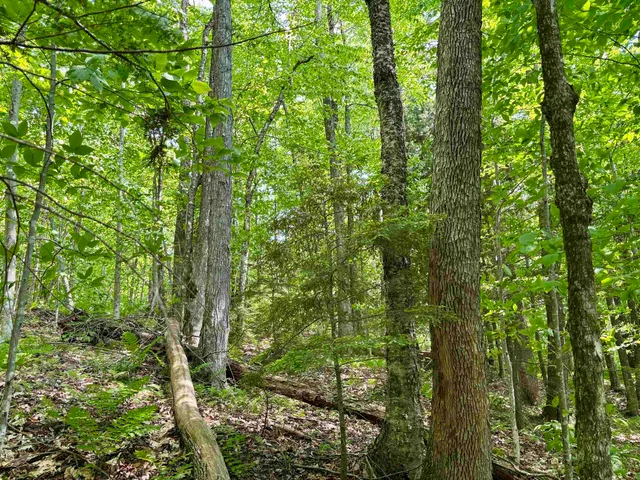 $94,500 | 0 North Road, Eden, VT 05653