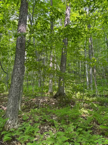 $94,500 | 0 North Road, Eden, VT 05653