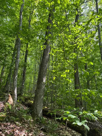 $94,500 | 0 North Road, Eden, VT 05653