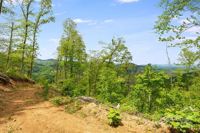 $799,000 | 99999 Hookers Gap Road, Candler, NC 28715
