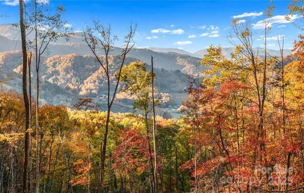 $799,000 | 99999 Hookers Gap Road, Candler, NC 28715