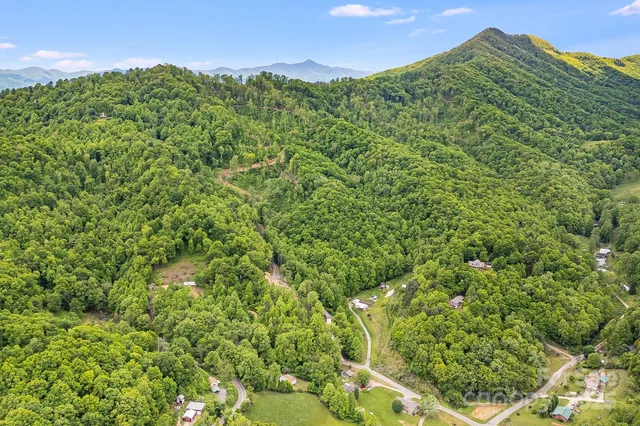 $799,000 | 99999 Hookers Gap Road, Candler, NC 28715