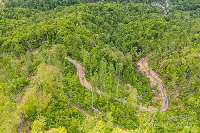 $799,000 | 99999 Hookers Gap Road, Candler, NC 28715