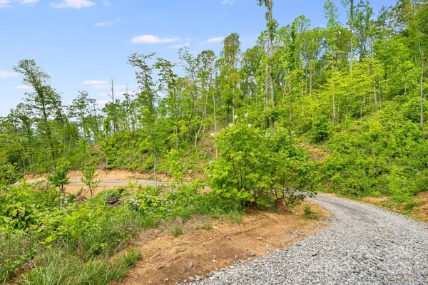 $799,000 | 99999 Hookers Gap Road, Candler, NC 28715